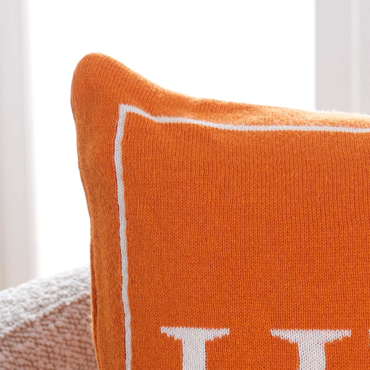 Safavieh Fall Pillow , HOL3212